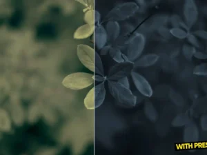 arta thegrey presets for lightroom 4