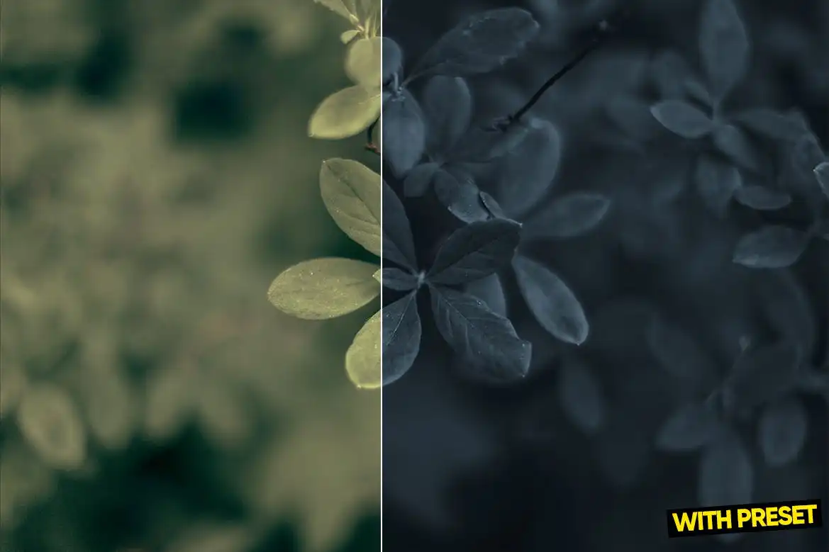 Arta-Thegrey Presets For Lightroom