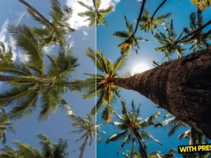 arta tropical presets for lightroom 5