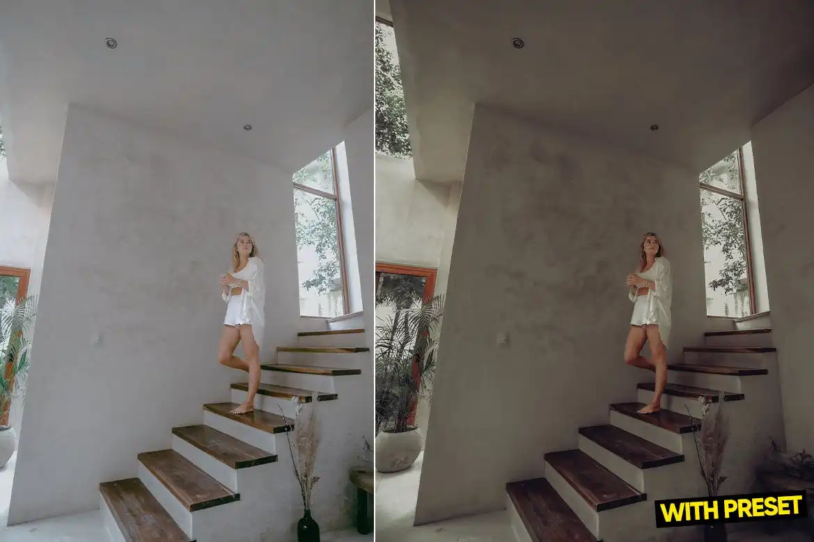 Arta-Way Presets For Lightroom