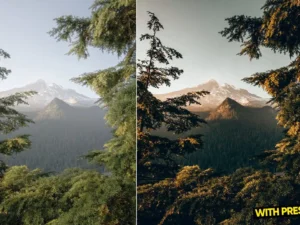 arta wildness presets for lightroom 3