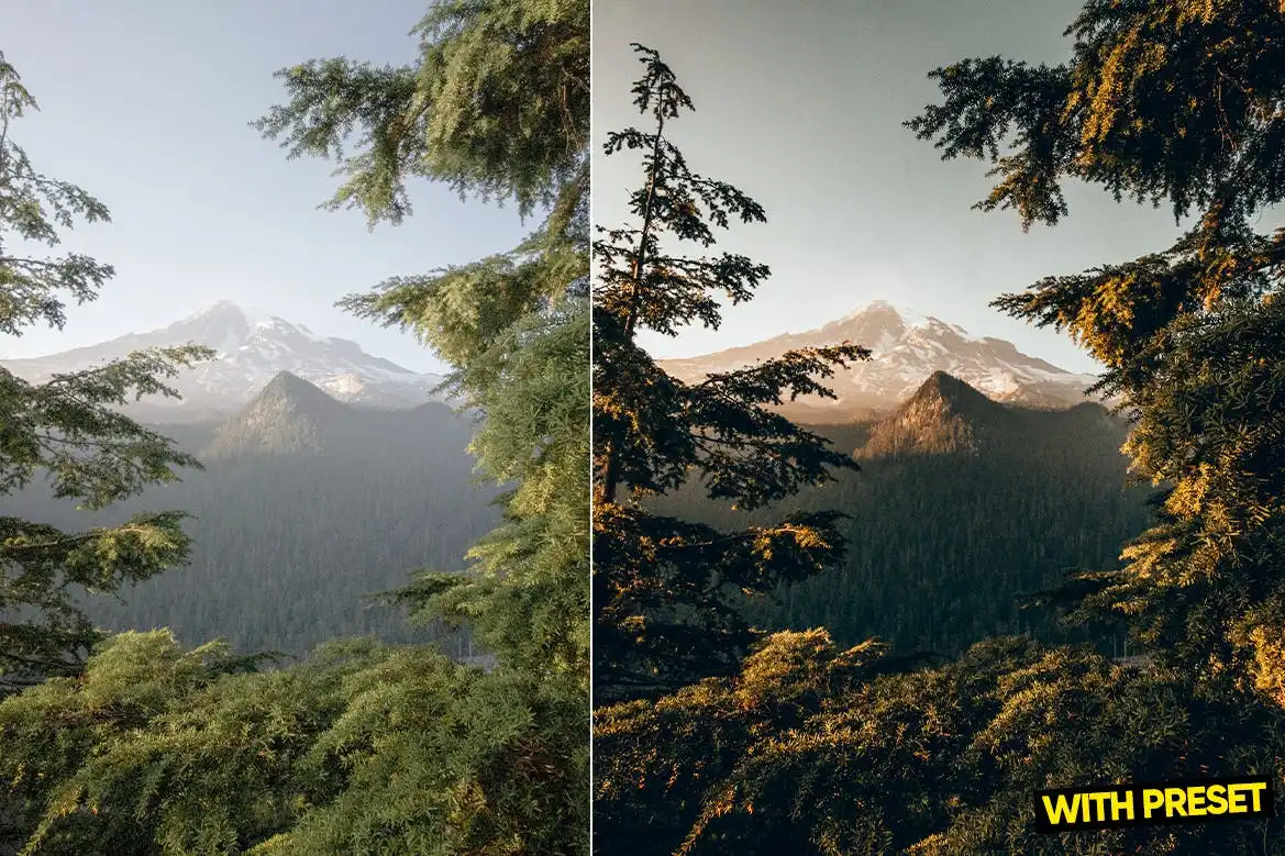 Arta-Wildness Presets For Lightroom