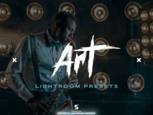 artistic lightroom presets 3