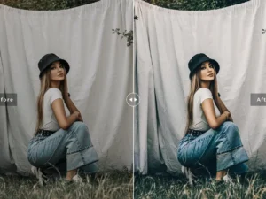artistic mobile desktop lightroom presets 3