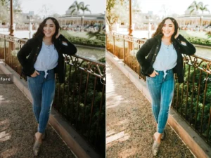 arum mobile desktop lightroom presets