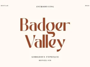 badger valley sans serif font