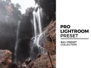 bali preset collection