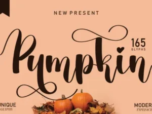beautiful font bundles collections 14