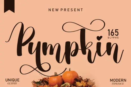 Beautiful Font Bundles Collections 20 beautiful font bundles collections 17