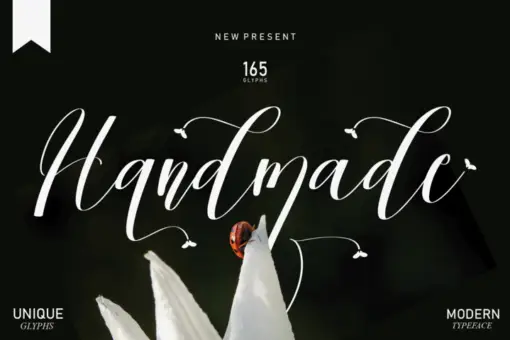 Beautiful Font Bundles Collections 19 beautiful font bundles collections 22