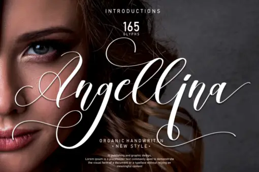 Beautiful Font Bundles Collections 7 beautiful font bundles collections 3
