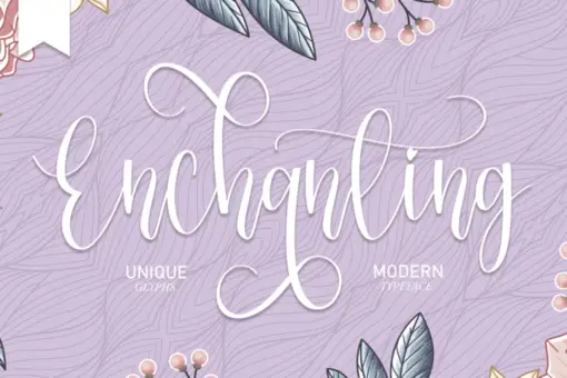 Beautiful Font Bundles Collections 13 beautiful font bundles collections 6