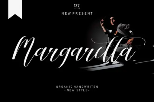 Beautiful Font Bundles Collections 11 beautiful font bundles collections