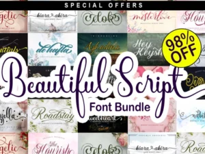 beautiful script font bundle
