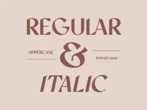 bekeen co eugenia ligature serif font 2