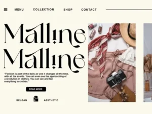 belgan aesthetic serif font 2