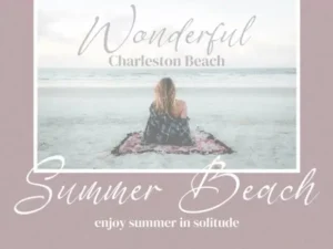 berthylda wilonalis script font 3
