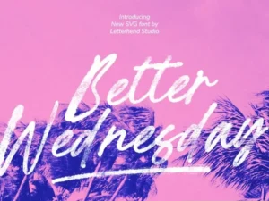 better wednesday rr2wav