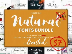 bf natural font bundle