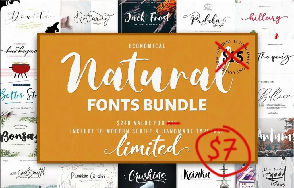 Bf Natural Font Bundle
