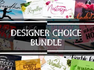 big deal bundle