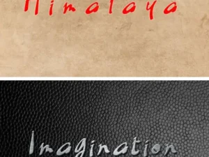 black script font 5