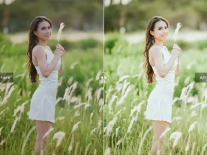 blanch mobile desktop lightroom presets 3
