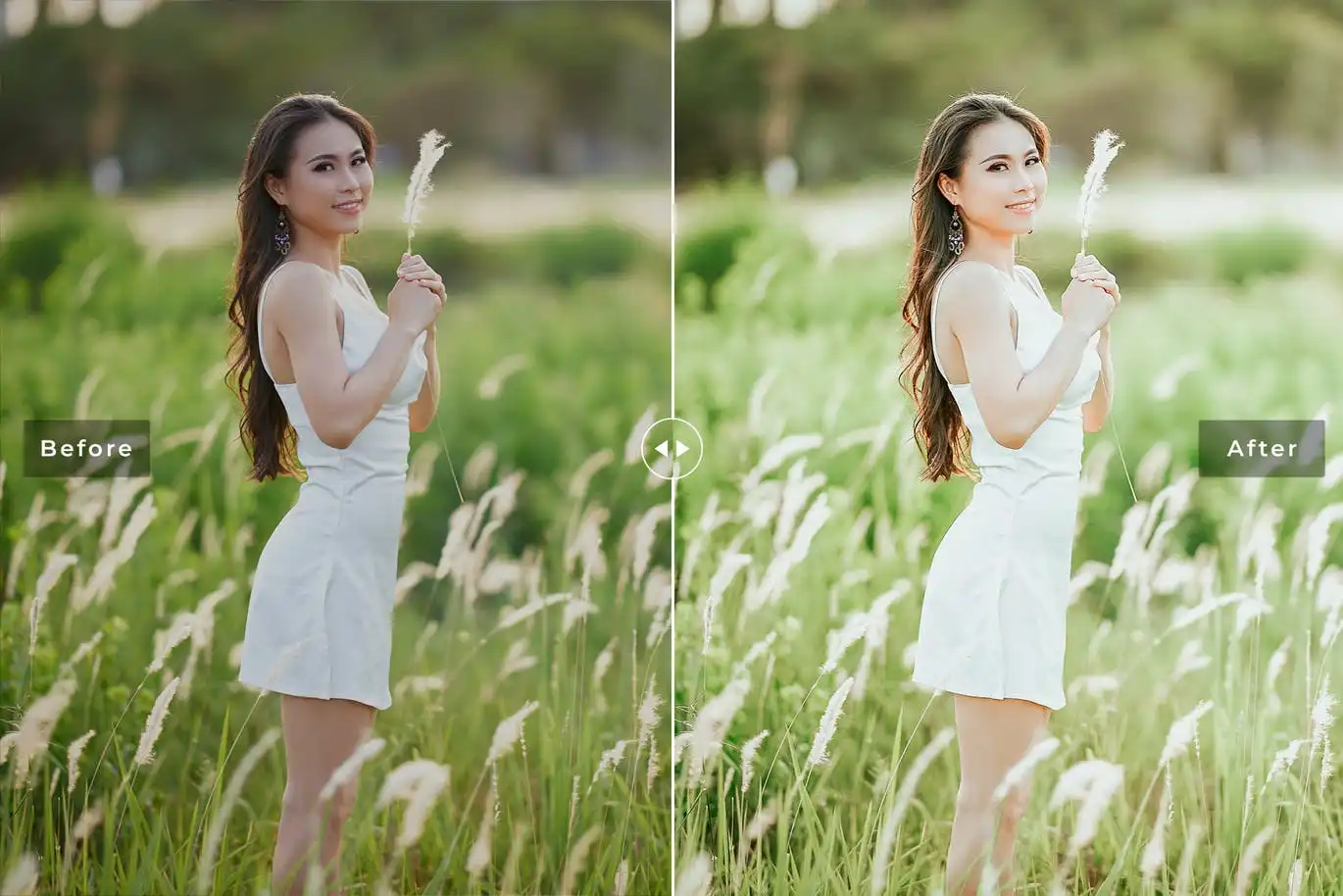 Blanch Mobile & Desktop Lightroom Presets