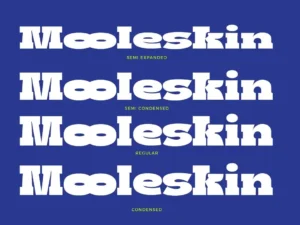 boldie slab font width by fortunes co 4