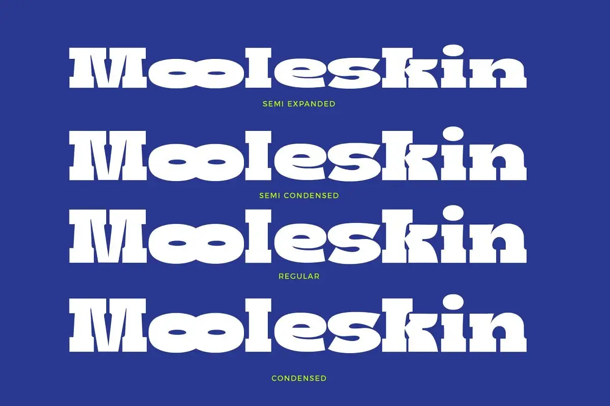 Boldie Slab Font Width By Fortunes Co