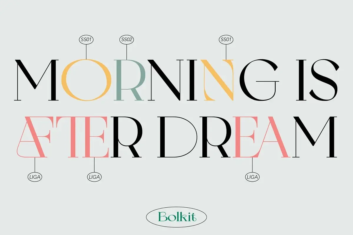 Bolkit-Display Serif