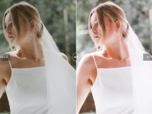 bouvardia mobile desktop lightroom presets 6