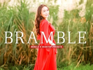 bramble mobile desktop lightroom presets 3