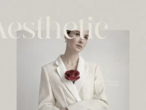 brandsemut denike stylish modern serif 3