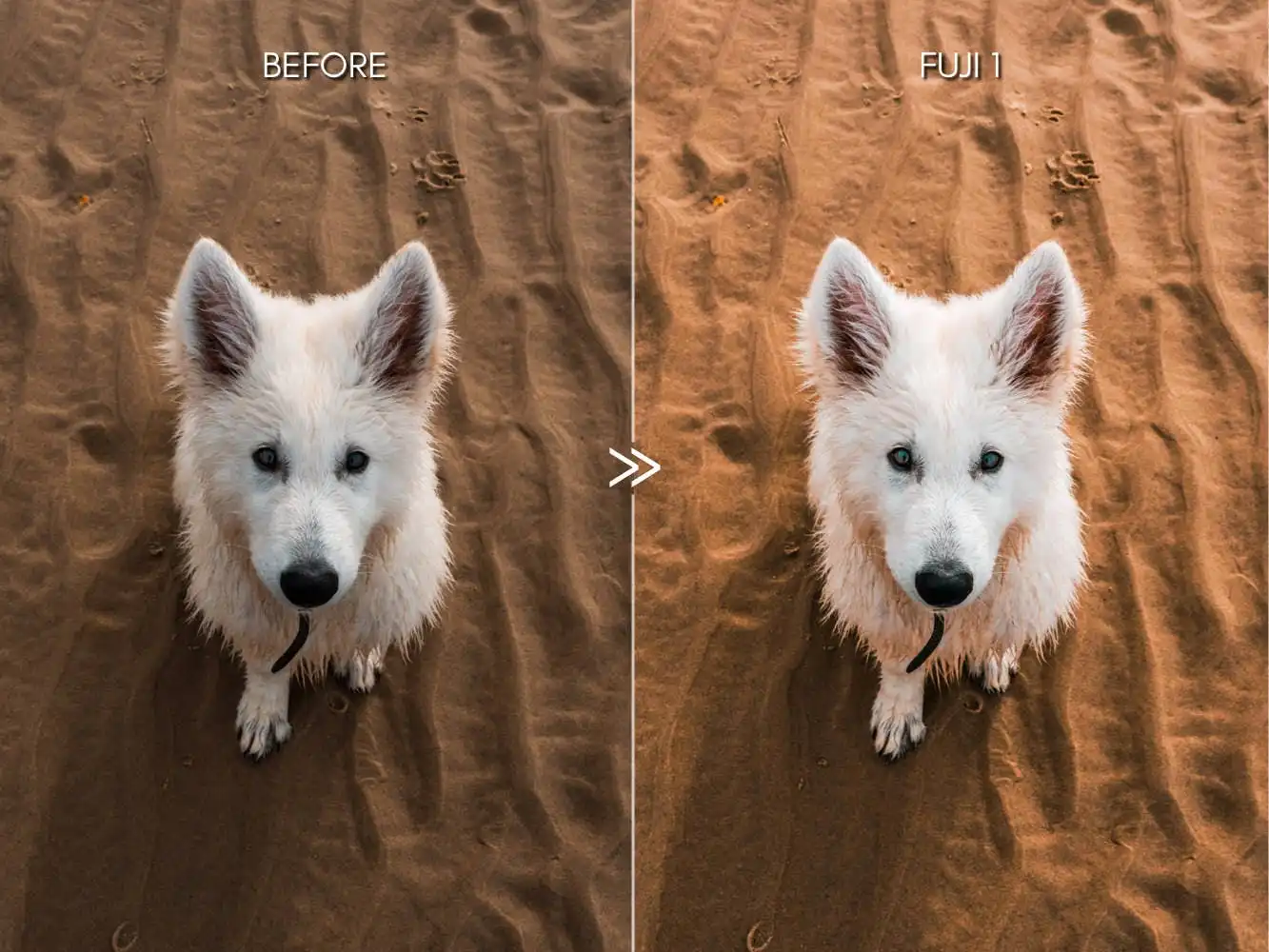 Bright Vibrant Fujifilm Lightroom Presets 7 bright vibrant fujifilm lightroom presets 7