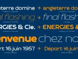 brinnan font family 4