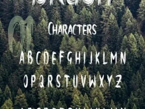 brush font 2
