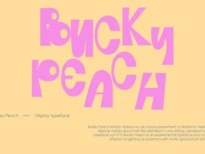 bucky peach by vani jain