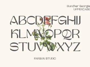 buncher georgia font 2