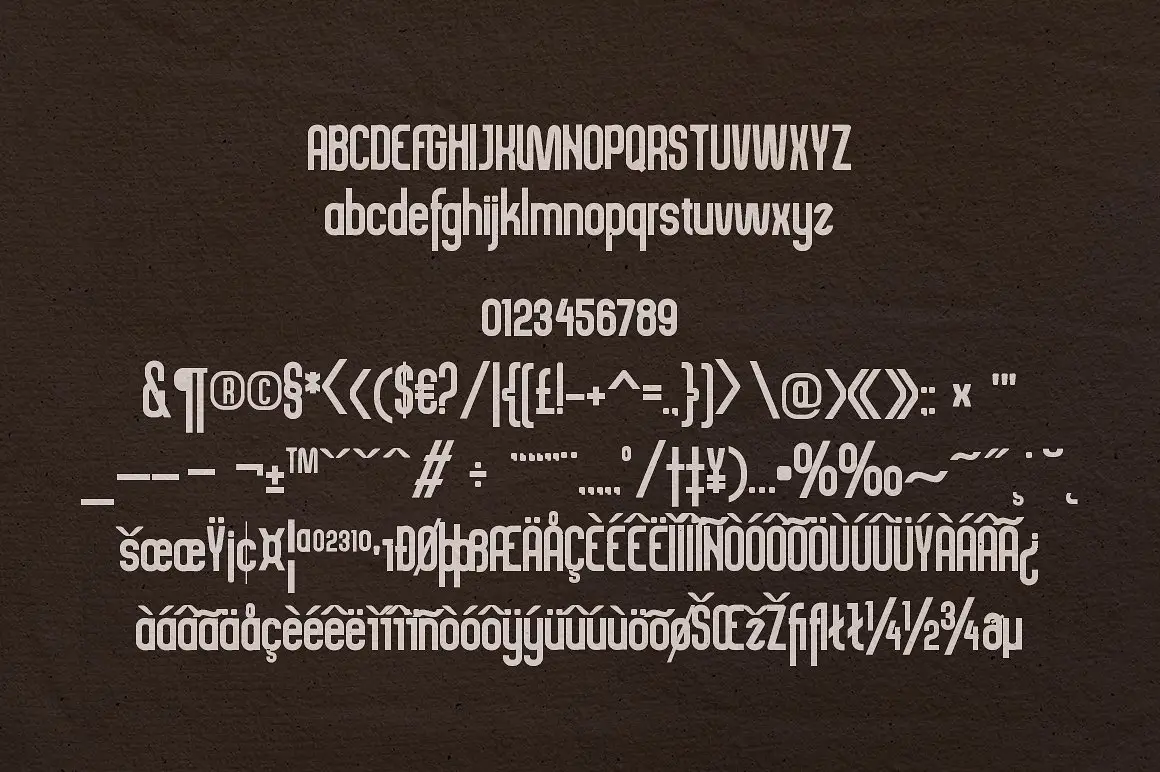 Bundle Fonts Colection 19 bundle fonts colection 13