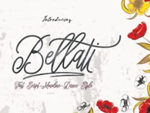 bundle fonts colection 19