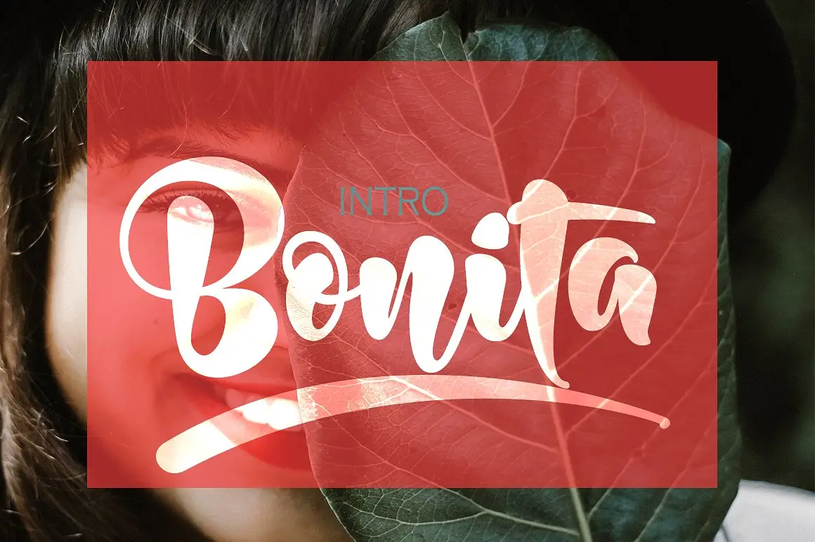 Bundle Fonts Colection 22 bundle fonts colection 24