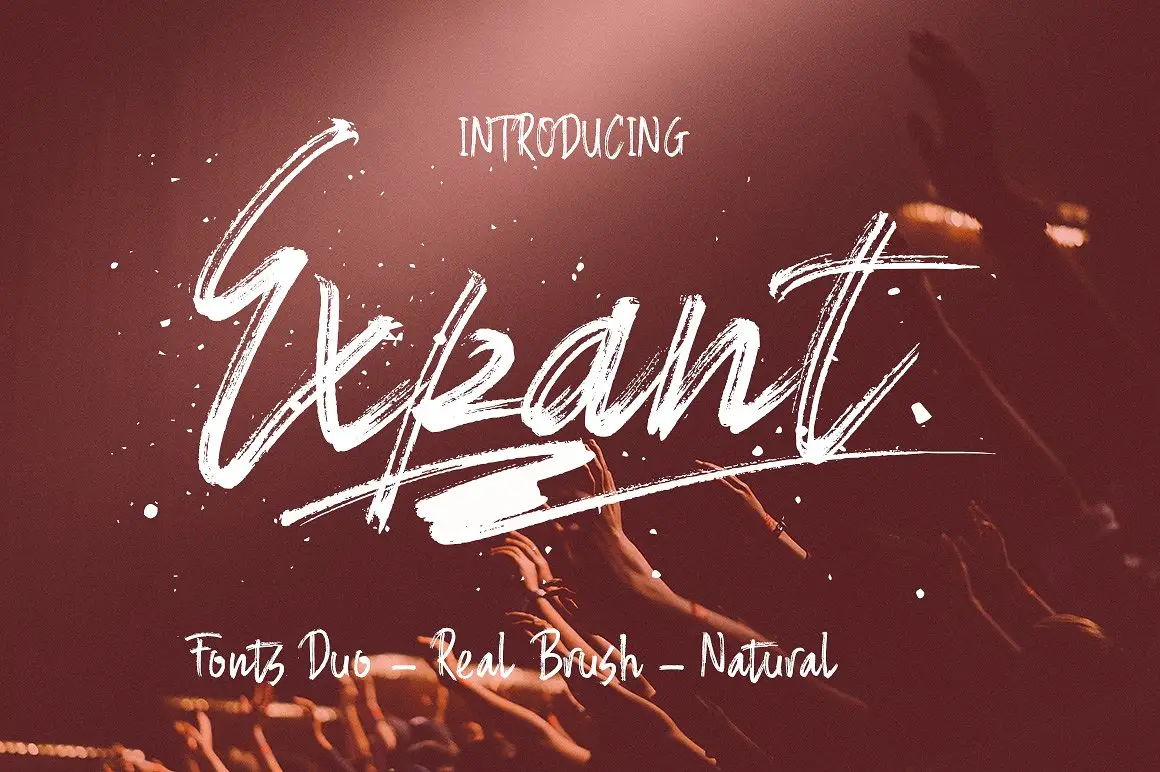 Bundle Fonts Colection 23 bundle fonts colection 5