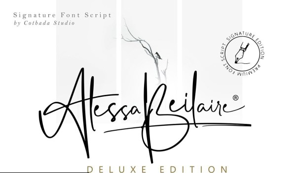 Bundle Princes Collections Font