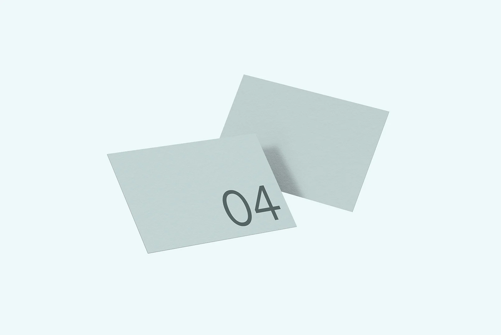 Business Card 04 Standard Mockup