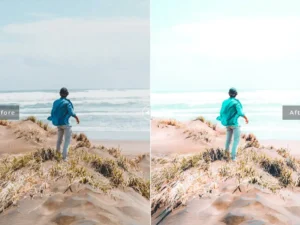 cadet mobile desktop lightroom presets