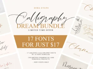 calligraphy handwritten font bundle