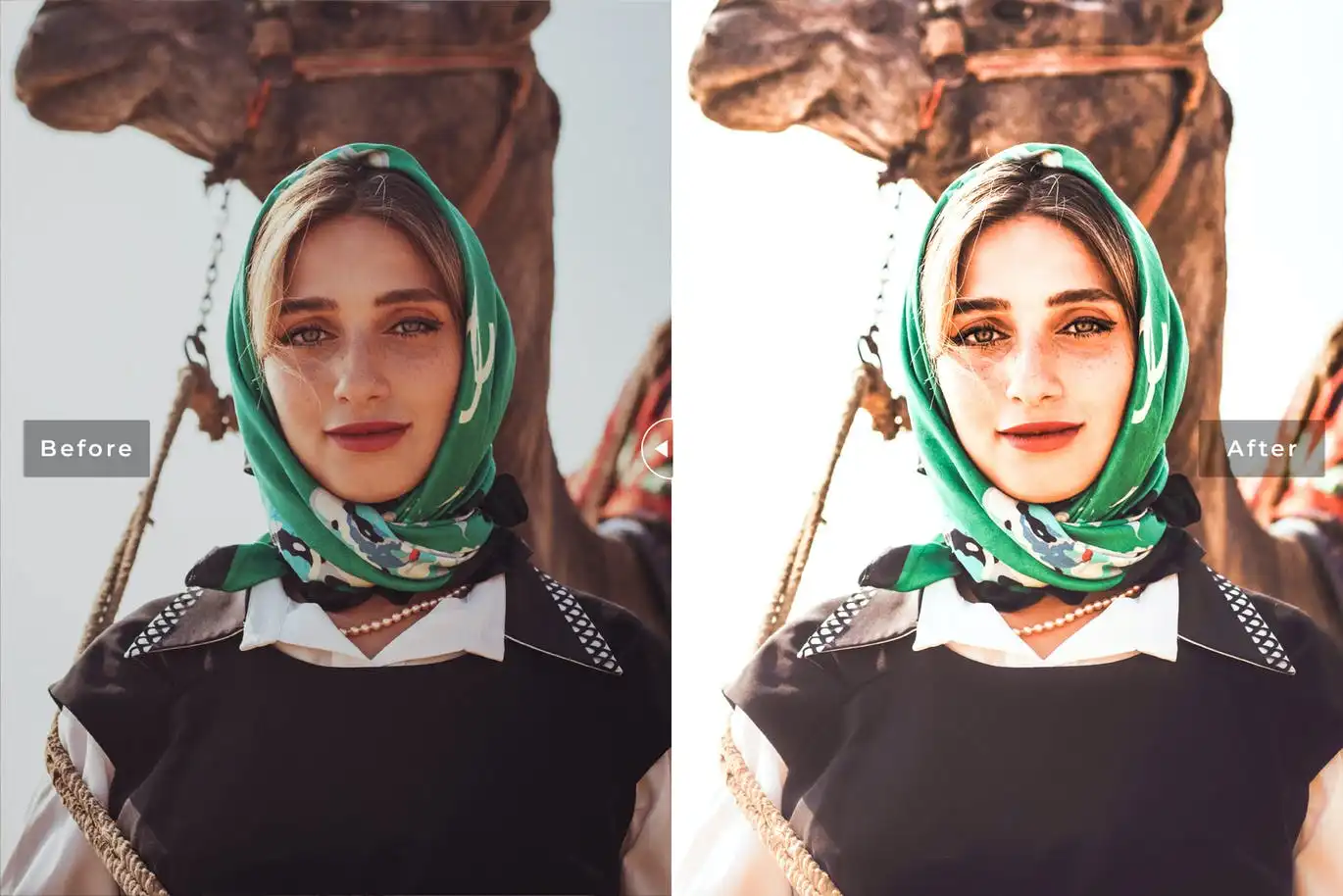 Camel Mobile &amp; Desktop Lightroom Presets