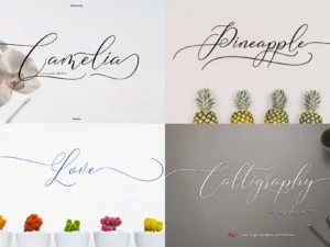 camelia calligraphy modern