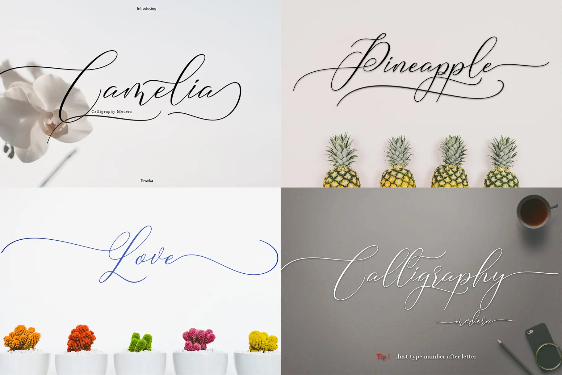 Camelia Calligraphy Modern